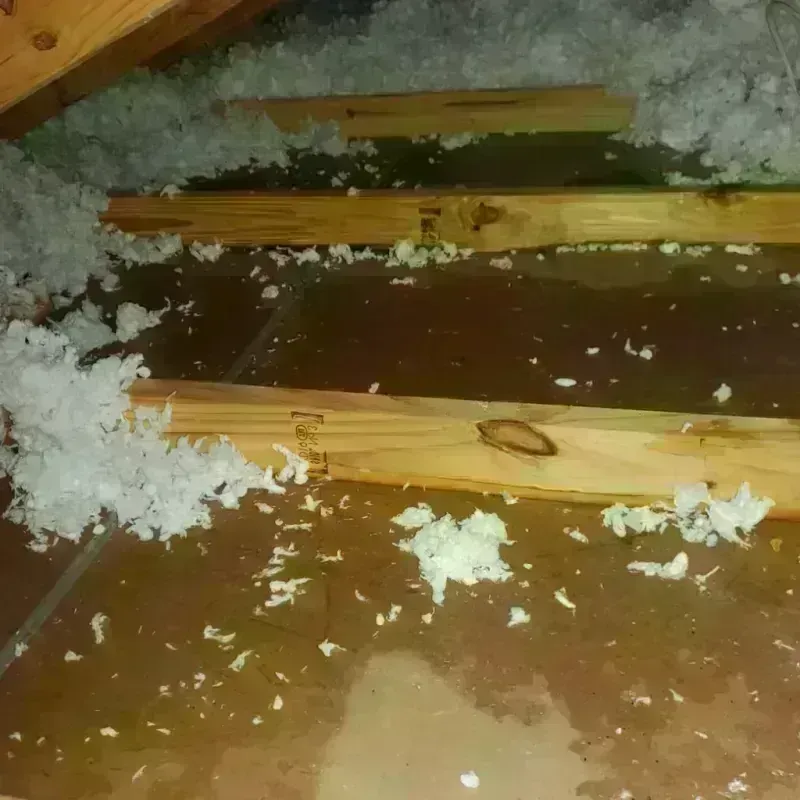 Attic Water Damage in Island County, WA