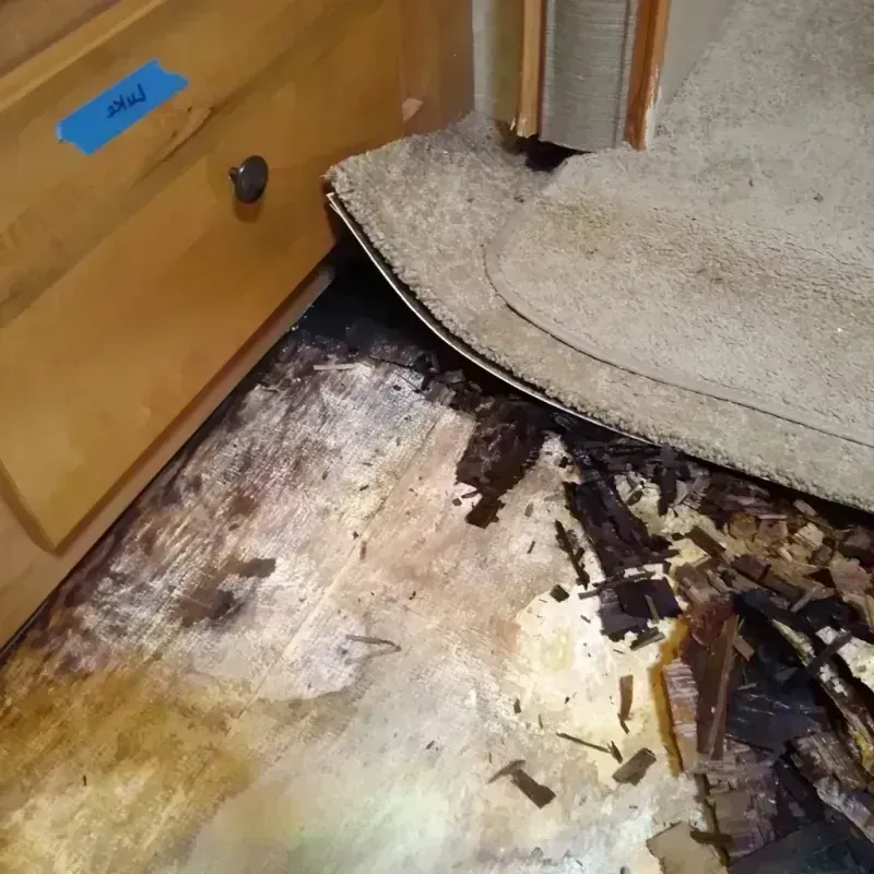 Wood Floor Water Damage in Island County, WA